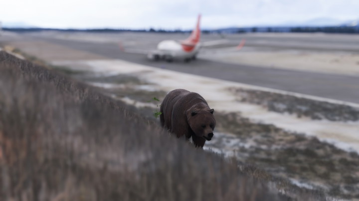 Flight Simulator wallpaper 2560x1440 by VQ-BWO