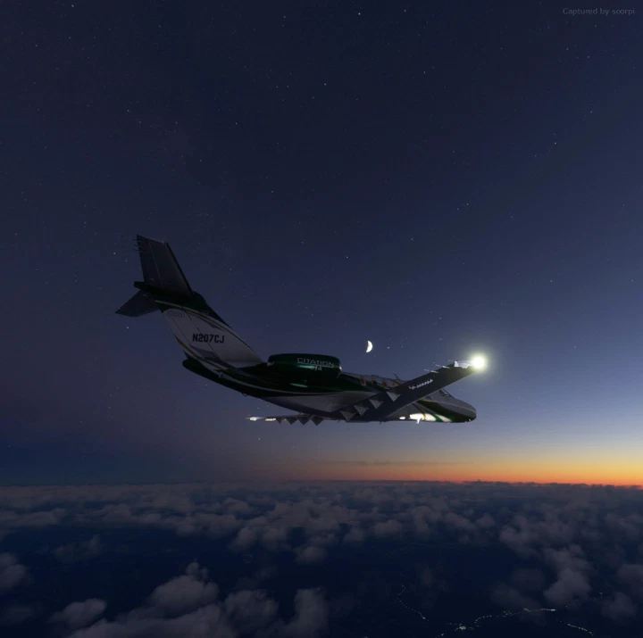 Flight Simulator wallpaper 1450x1439 by scorpi